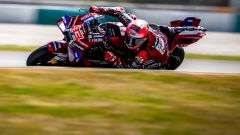 MotoGP Test Sepang 2026, day 1: Marc Marquez subito il pi&ugrave; veloce. Bene Di Giannantonio