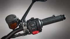 Gallery - immagine 10#