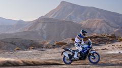 Gallery - immagine 7#