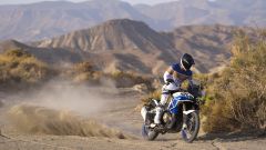 Gallery - immagine 2#