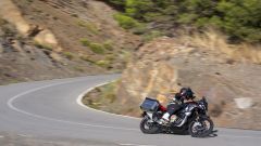 Gallery - immagine 8#