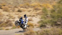 Gallery - immagine 3#