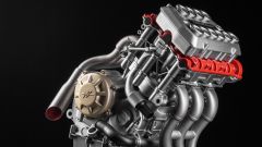 Gallery - immagine 2#