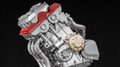 Gallery - immagine 4#