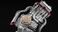 Gallery - immagine 5#