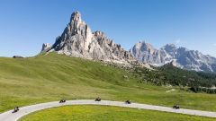 Gallery - immagine 2#