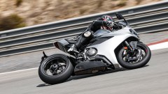 Gallery - immagine 3#