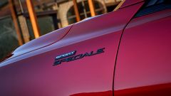 Gallery - immagine 4#