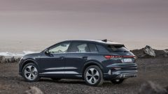 Gallery - immagine 5#