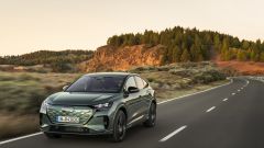 Gallery - immagine 11#