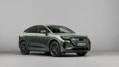 Gallery - immagine #13