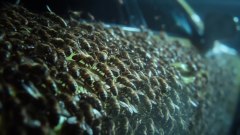 Gallery - immagine 2#
