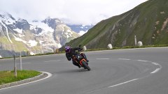 Gallery - immagine 4#