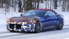 Gallery - immagine 3#