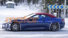 Gallery - immagine 5#