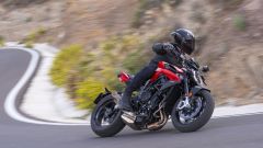 Gallery - immagine 4#