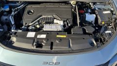 Gallery - immagine 8#