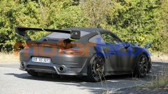 Gallery - immagine 7#