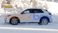 Gallery - immagine #12