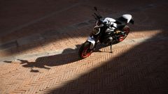 Gallery - immagine 4#