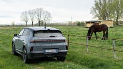 Gallery - immagine 7#