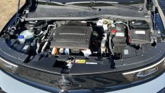 Gallery - immagine 6#