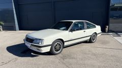 Gallery - immagine 8#