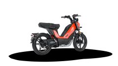 Gallery - immagine 4#