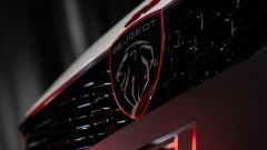 Gallery - immagine 6#