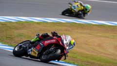 Gallery - immagine 2#