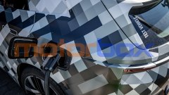 Gallery - immagine 2#