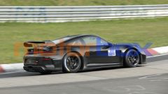 Gallery - immagine 8#