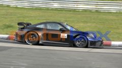 Gallery - immagine 7#