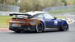 Gallery - immagine 9#