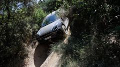 Gallery - immagine 2#