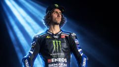 Gallery - immagine 5#