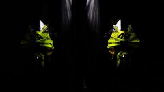 Gallery - immagine 8#