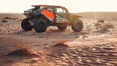 Gallery - immagine #13