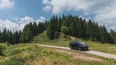 Gallery - immagine 2#