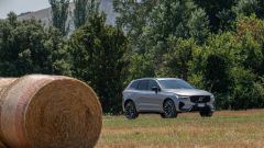 Gallery - immagine 6#