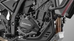 Gallery - immagine 5#