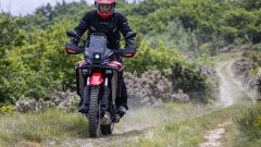 Gallery - immagine 9#