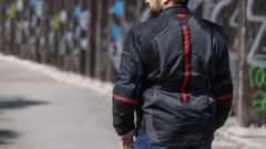 Gallery - immagine 7#