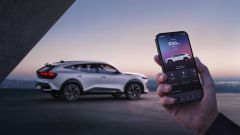 Gallery - immagine 2#