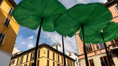 Gallery - immagine 5#