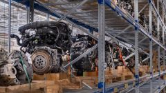 Gallery - immagine 3#