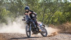 Gallery - immagine 2#