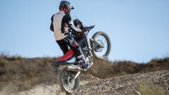 Gallery - immagine 6#