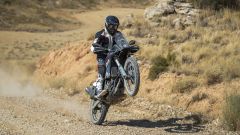 Gallery - immagine 4#