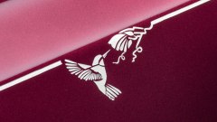 Gallery - immagine 6#